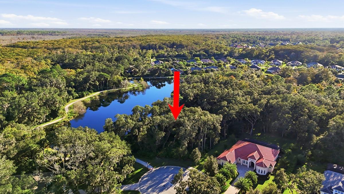 ESTATES/GRAND HAVEN PH 2 - Land