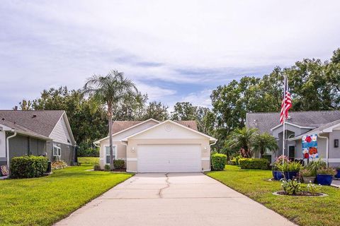 Photo of 6431 Gentle Ben Circle, Wesley Chapel, FL 33544 (MLS # TB8414086)