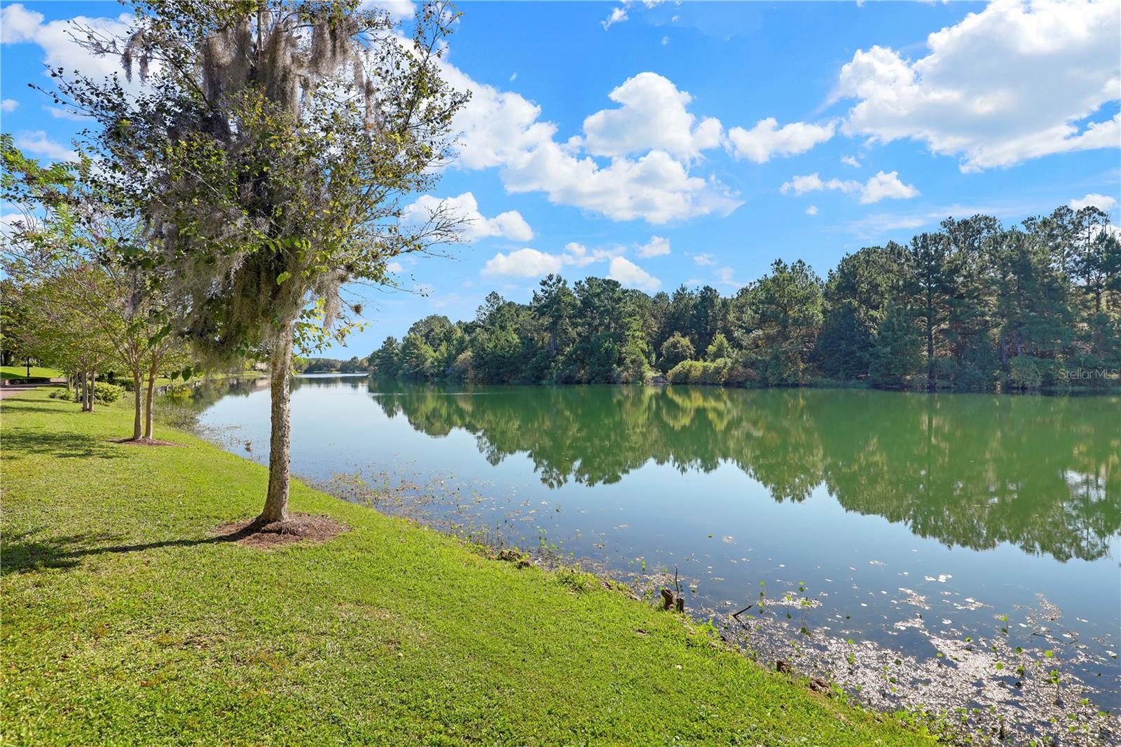 CAMBRIDGE/OAKLEAF PLANTATION - Residential