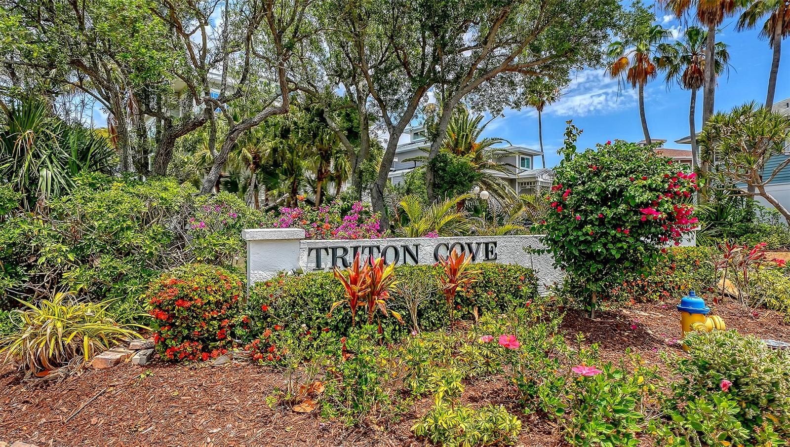 TRITON COVE - Residential