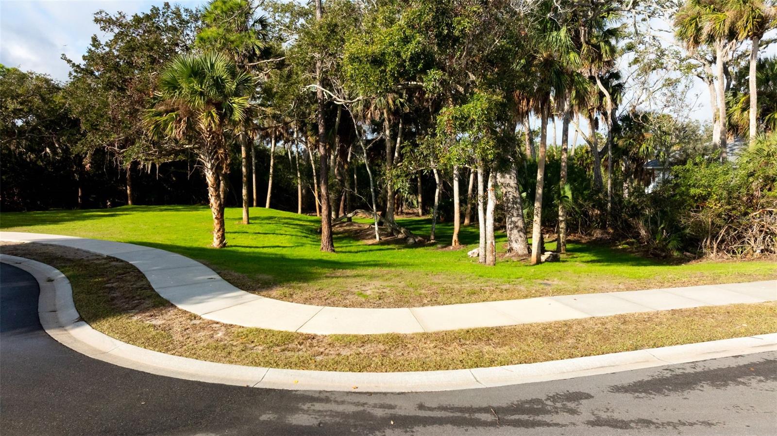 PALM COAST PLANTATION PUD - Land