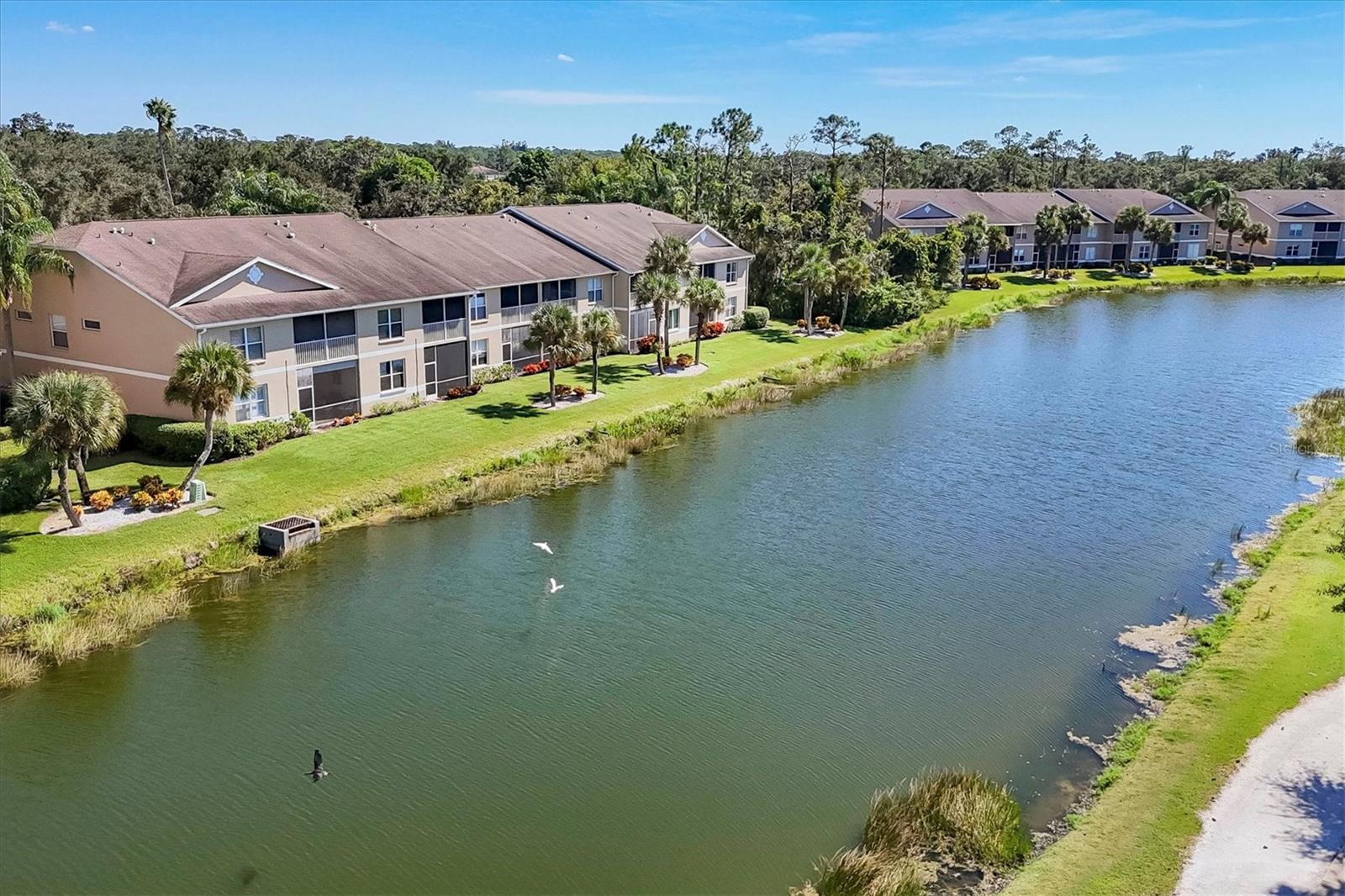 VERANDA 4 AT HERITAGE OAKS - Residential