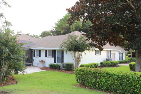 A home in MOUNT DORA