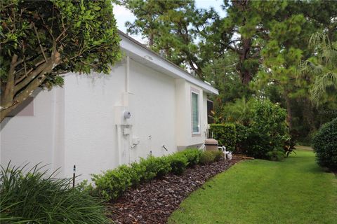 A home in MOUNT DORA