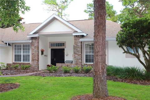 A home in MOUNT DORA