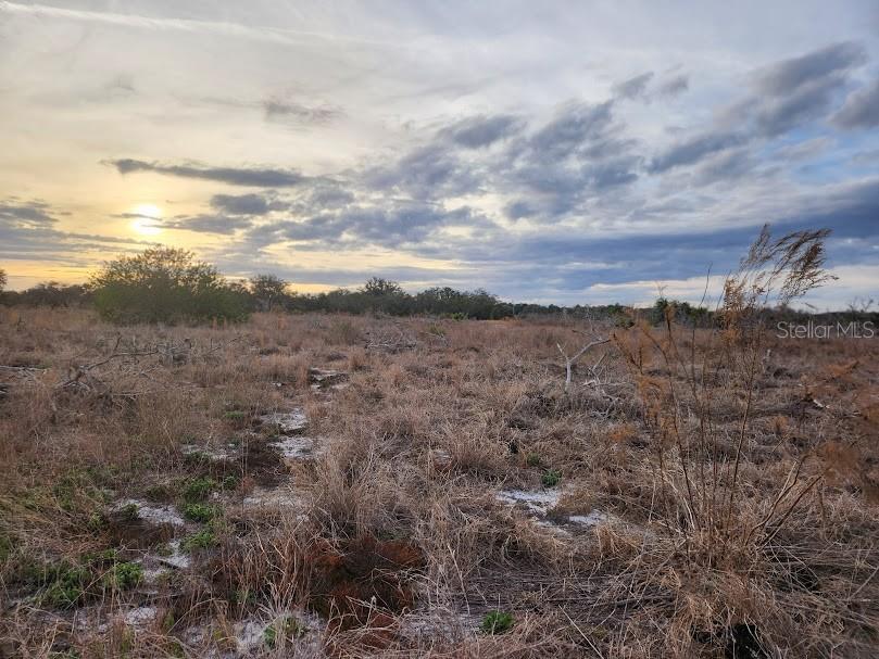 OAKRIDGE ESTATES PHASE 10 PB 83 PG 5 LOT 12 LYING - Land