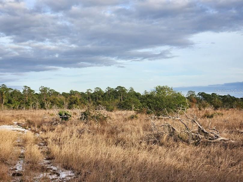 OAKRIDGE ESTATES PHASE 10 PB 83 PG 5 LOT 12 LYING - Land