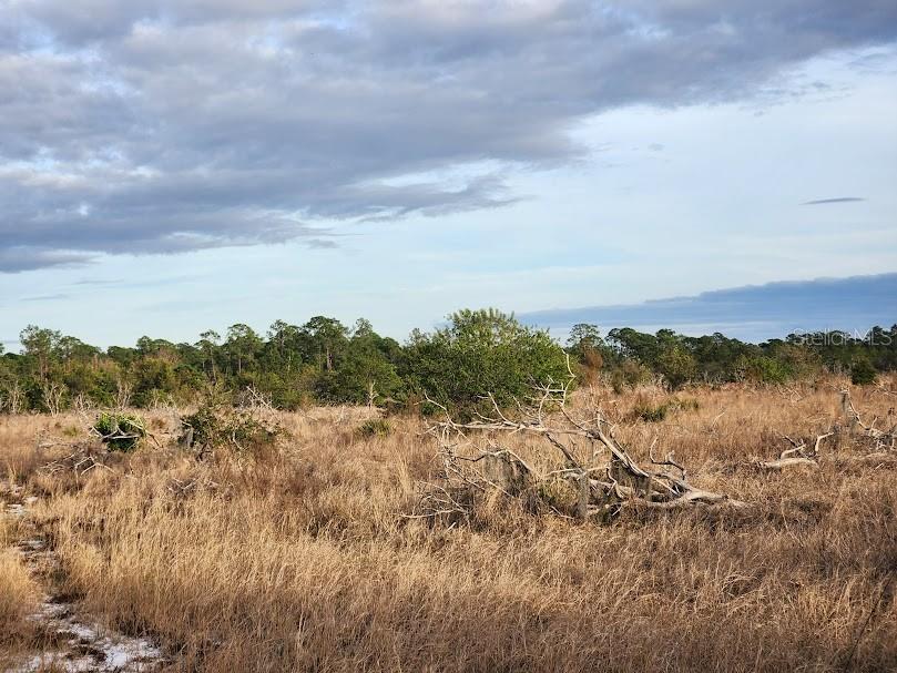 OAKRIDGE ESTATES PHASE 10 PB 83 PG 5 LOT 12 LYING - Land