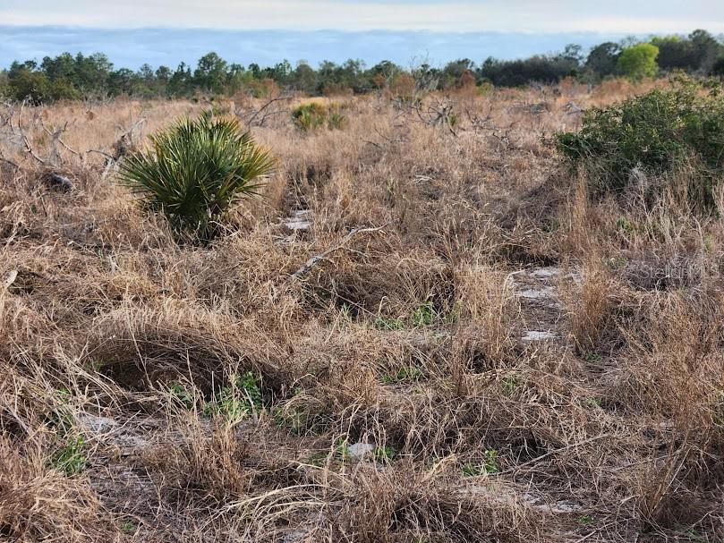 OAKRIDGE ESTATES PHASE 10 PB 83 PG 5 LOT 12 LYING - Land