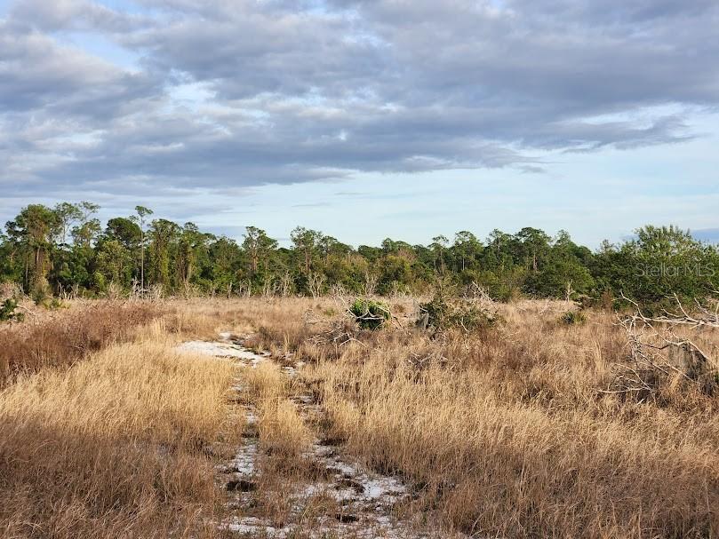 OAKRIDGE ESTATES PHASE 10 PB 83 PG 5 LOT 12 LYING - Land