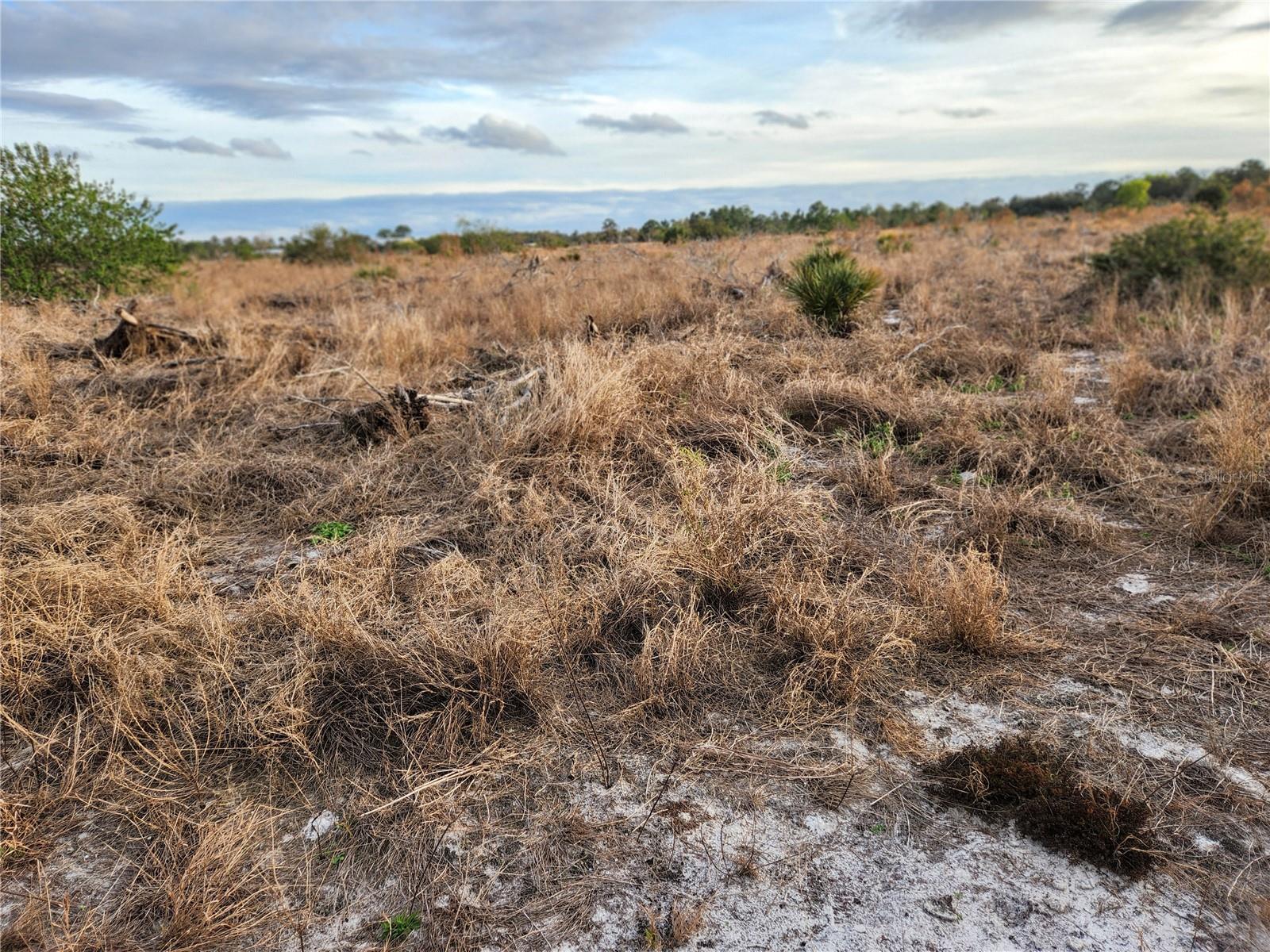 OAKRIDGE ESTATES PHASE 10 PB 83 PG 5 LOT 12 LYING - Land