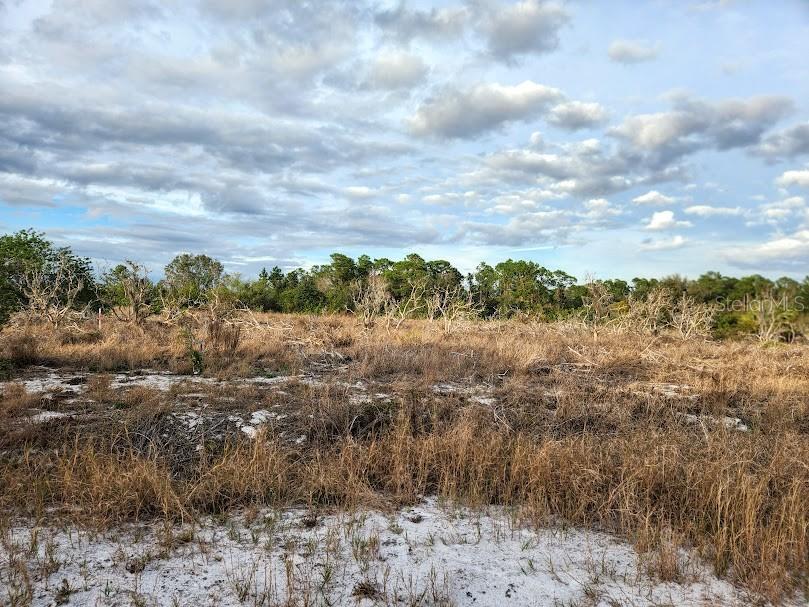 40K PRICE REDUCTION. SELLER MOTIVATED. Build your dream home on this spacious 9.70-acre lot with 50 feet paved road frontage in the peaceful Oakridge Estates community! Located in Frostproof and zoned for residential use, this high-and-dry parcel offers flexibility with no HOA. Surrounded by open countryside yet just minutes from town, the property has electric nearby; well and septic are needed. Ideal for those seeking privacy, space, or future growth potential. Adjoining parcels are also available, offering the opportunity to acquire nearly 50 contiguous acres—purchase individually or as a package. GPS Coordinates: 27°43'23.9" N, 81°34'35.4" W