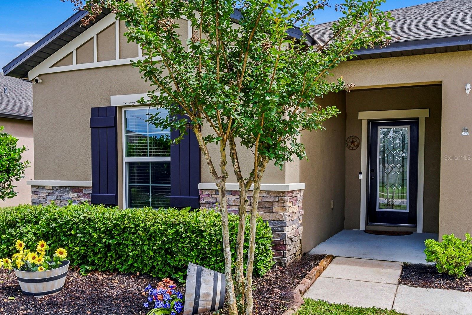 18738 ALFARO LOOP