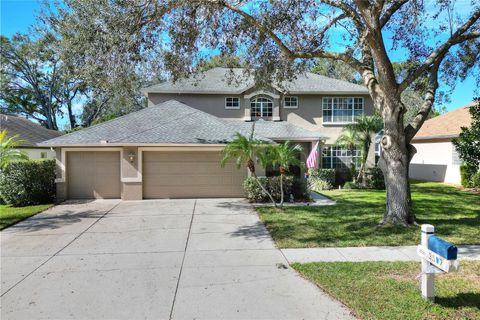 3507 AUTUMN GLEN DRIVE VALRICO FL 33596