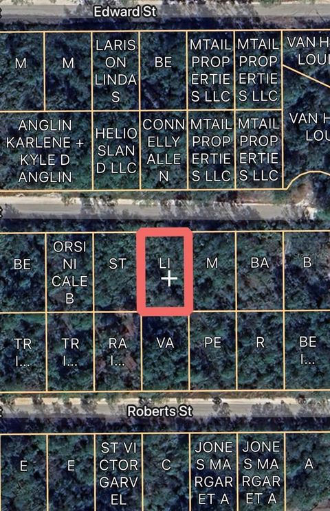 00 BASFORD ST INTERLACHEN FL 32148