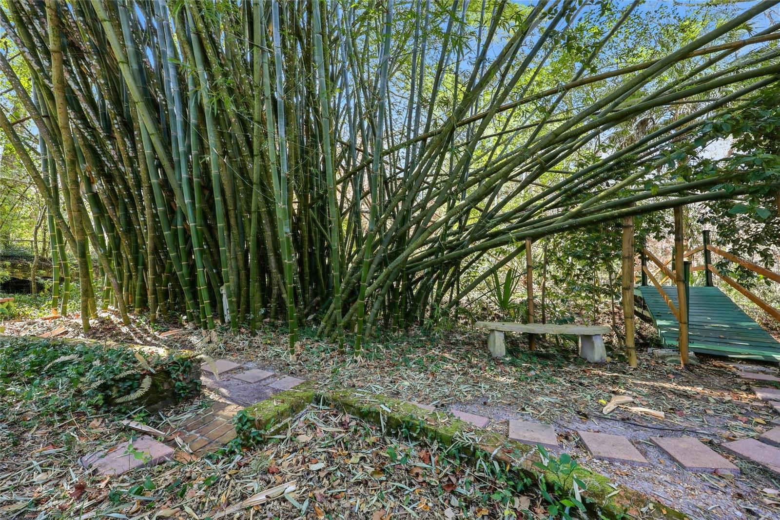 FLORIDA PARK - Residential