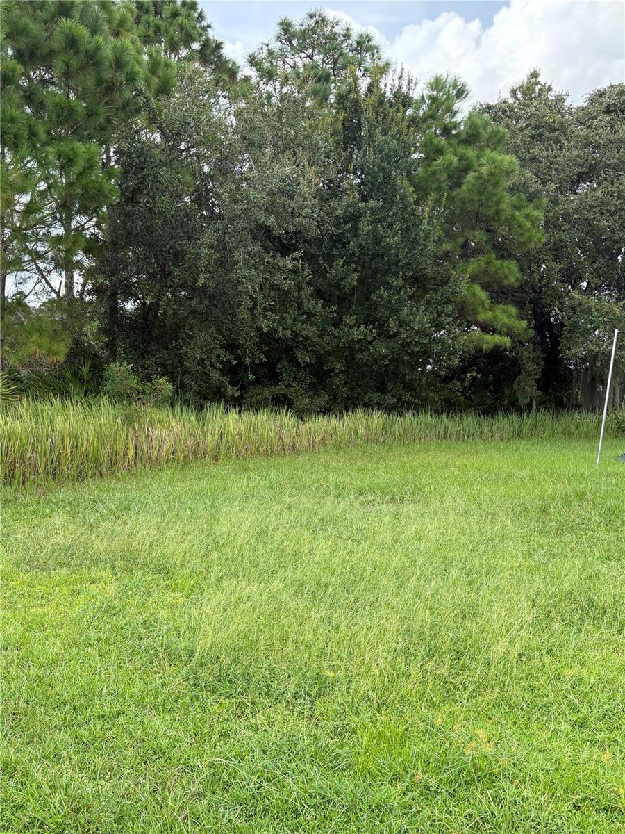 Photo of 627 Linnet Court, Poinciana, FL 34759 (MLS # O6446173)