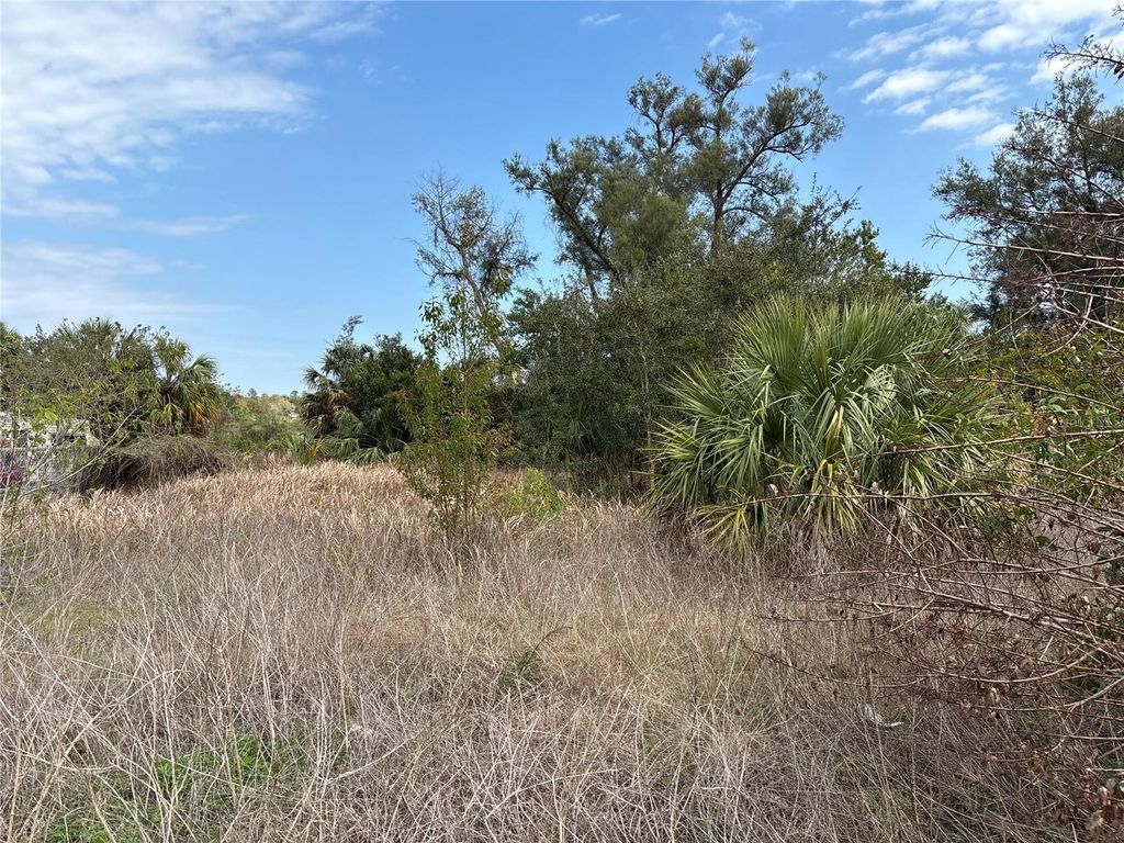 Photo of 8270 Commercial Way, Weeki Wachee, FL 34613 (MLS # W7874584)