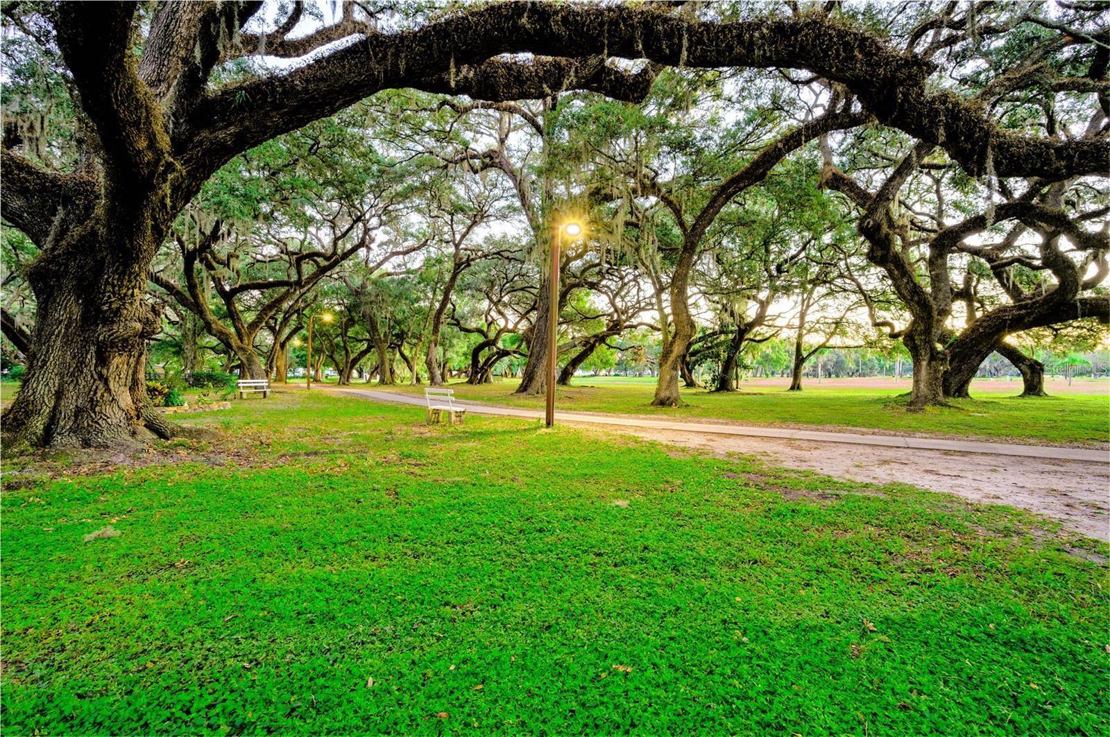 BETMAR ACRES - Residential