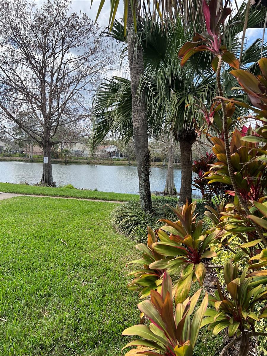 WINDTREE GARDENS CONDO PH 01 - Residential Lease