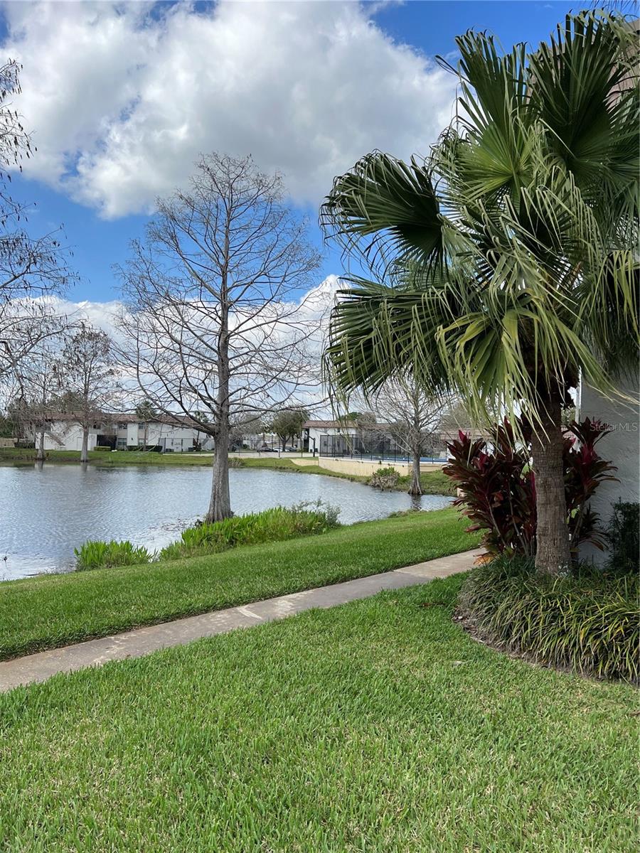 WINDTREE GARDENS CONDO PH 01 - Residential Lease