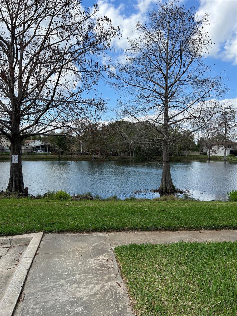 WINDTREE GARDENS CONDO PH 01 - Residential Lease