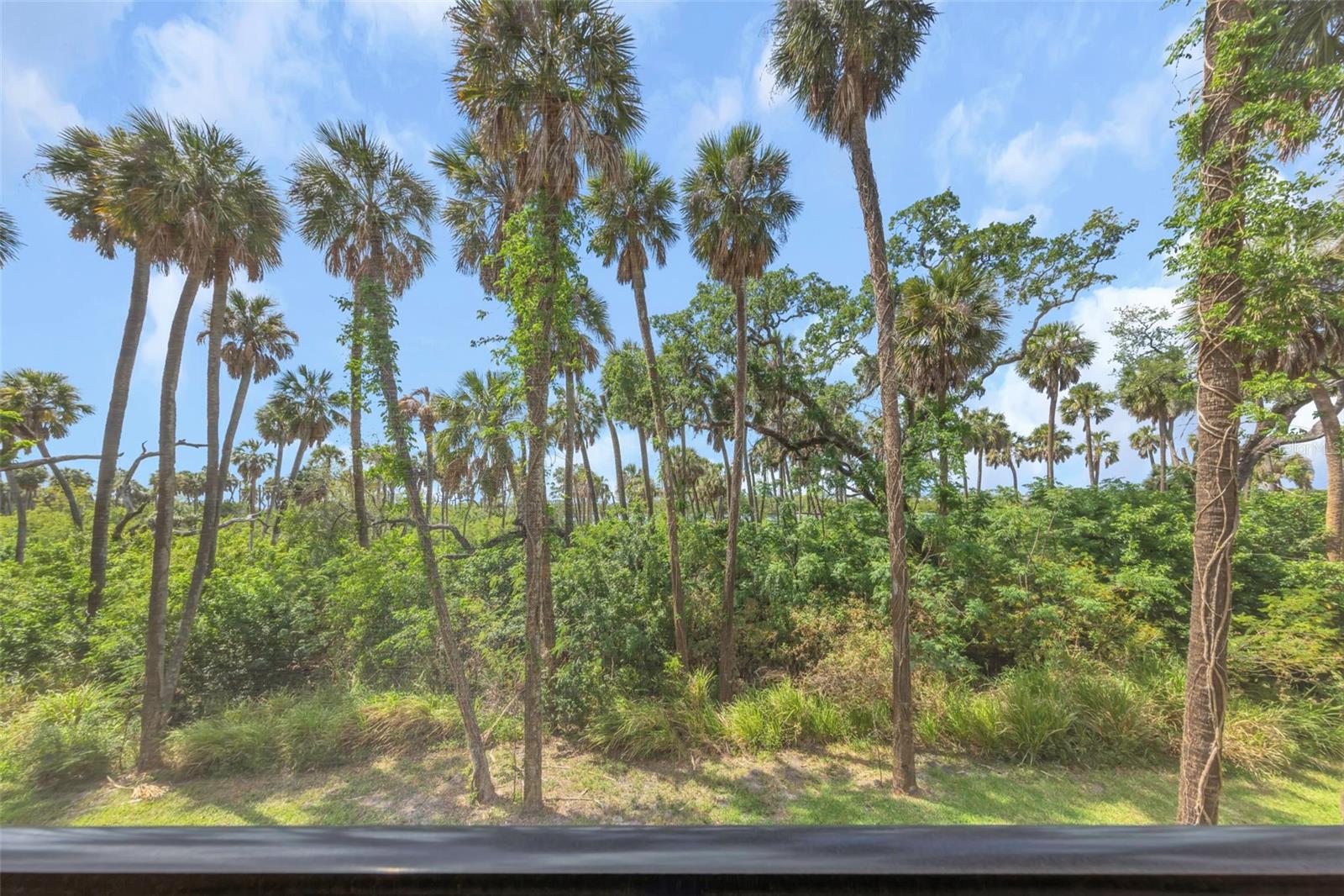 PALM RIVER TWNHMS PH 2 - Residential