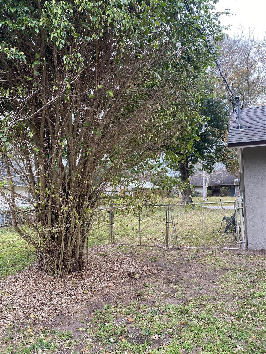 Florida Shores 01 - Residential