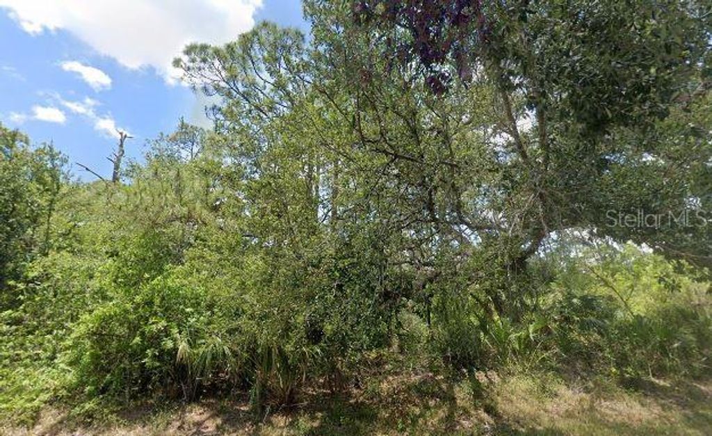 Photo of 1805 Jefferson Avenue, Lehigh Acres, FL 33972 (MLS # A4676807)