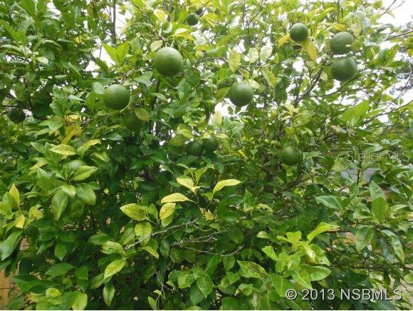 Hazelwood Unit 01 - Residential