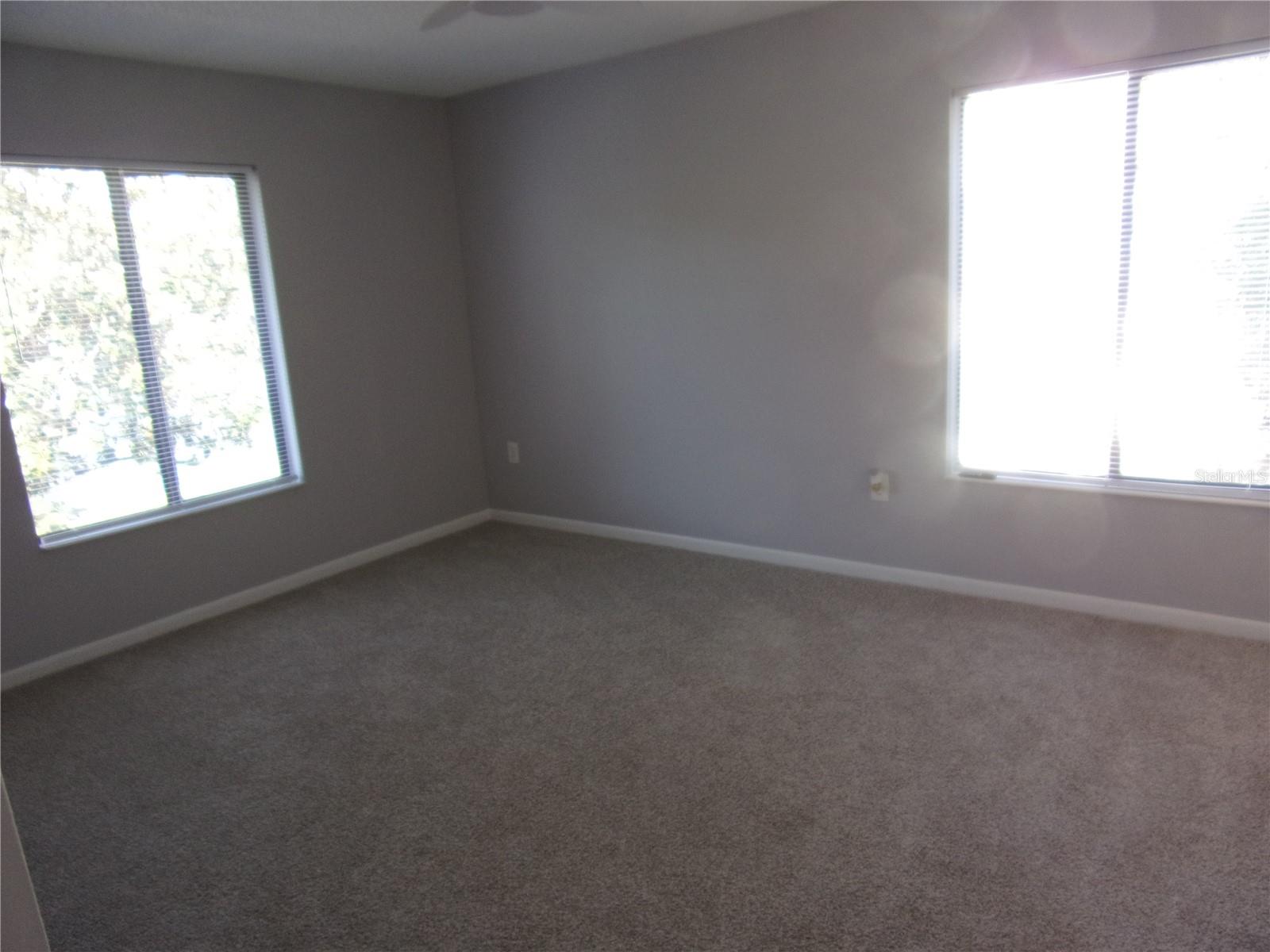 PINE RIDGE AT LAKE TARPON VILLAGE - Residential