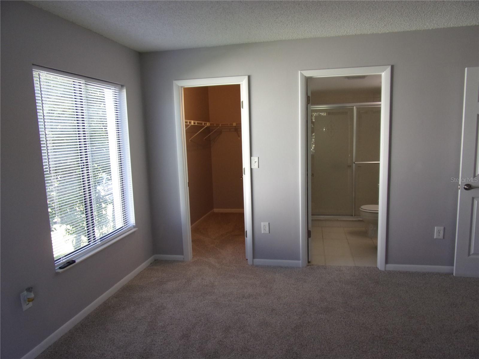 PINE RIDGE AT LAKE TARPON VILLAGE - Residential