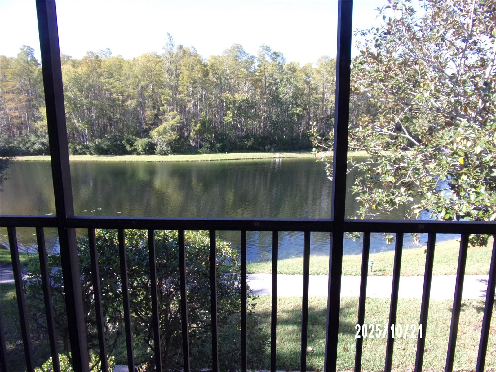 PINE RIDGE AT LAKE TARPON VILLAGE - Residential