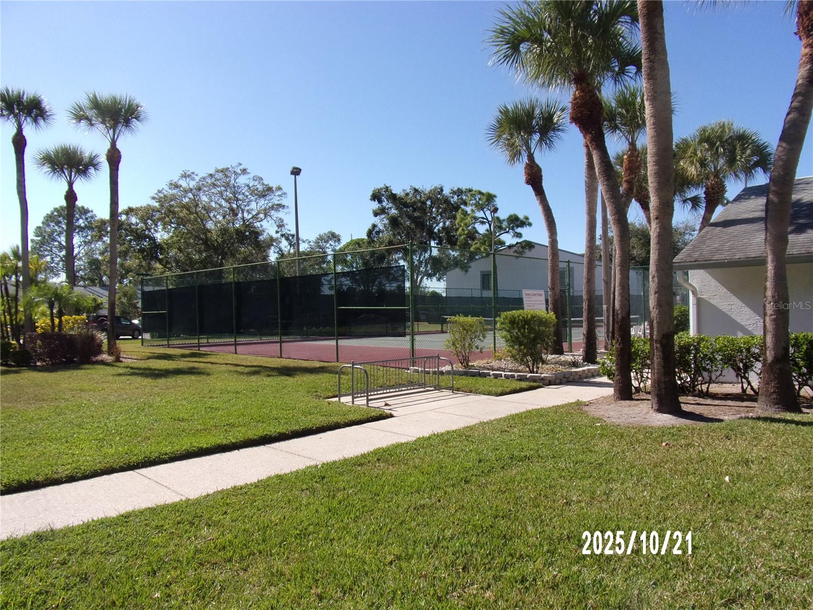 PINE RIDGE AT LAKE TARPON VILLAGE - Residential