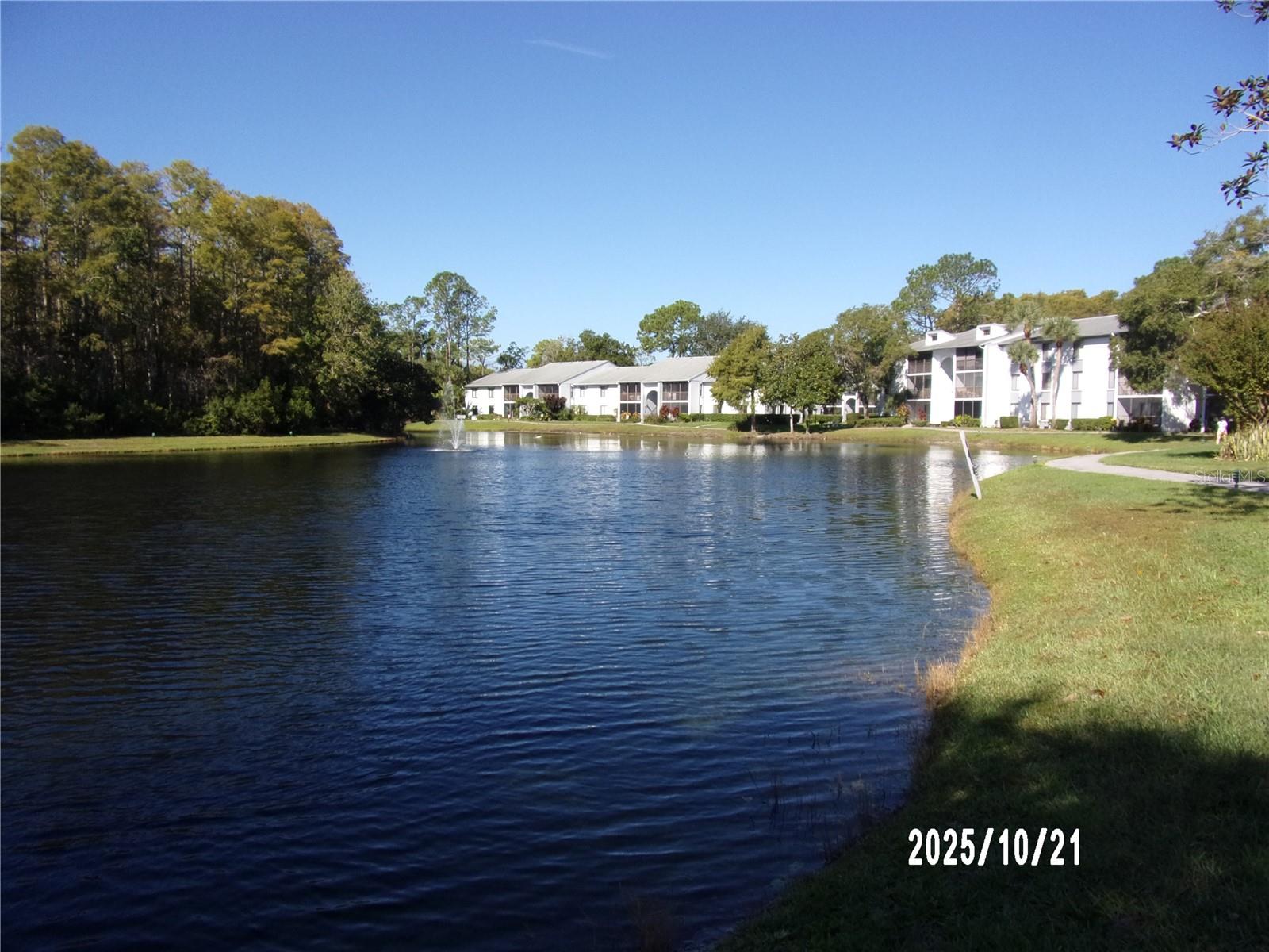 PINE RIDGE AT LAKE TARPON VILLAGE - Residential