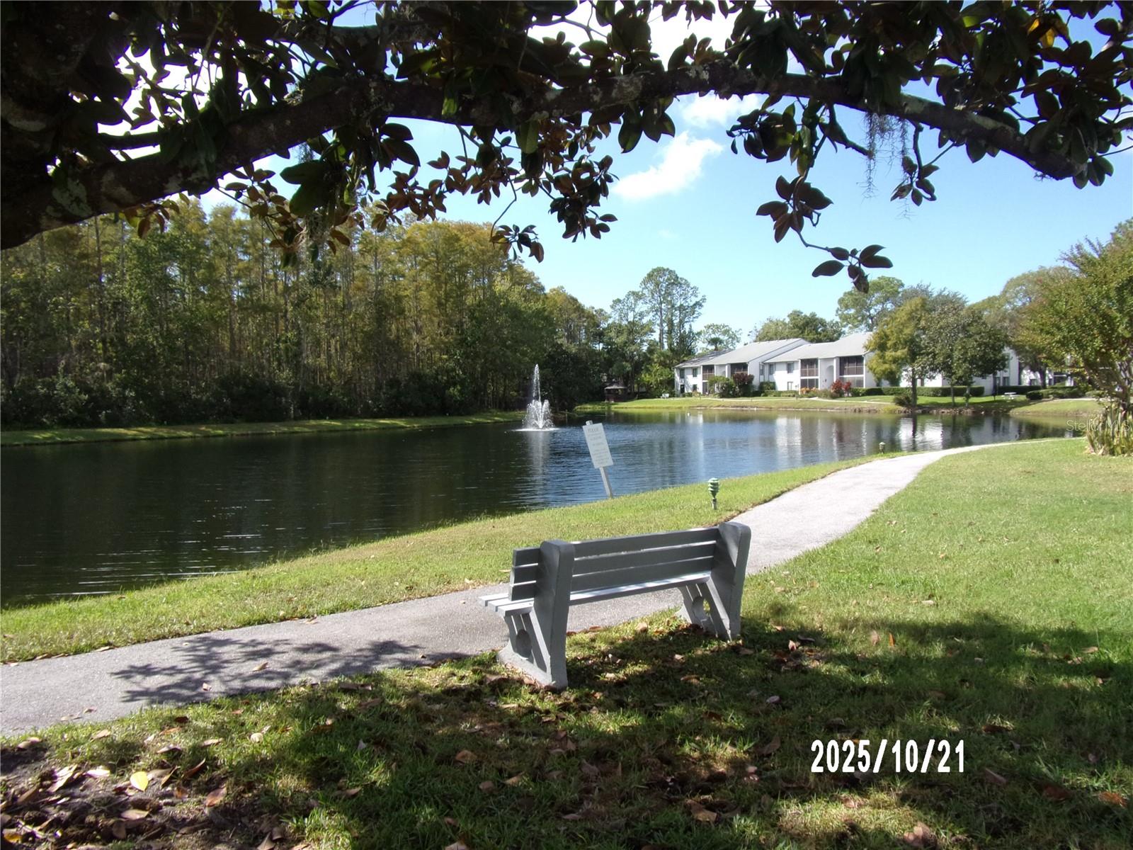 PINE RIDGE AT LAKE TARPON VILLAGE - Residential