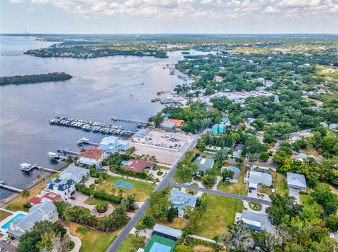 A home in PALM HARBOR