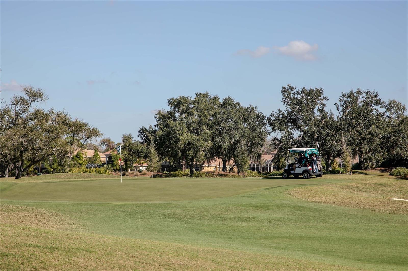 HAMPTON GREEN UNIT II - Residential