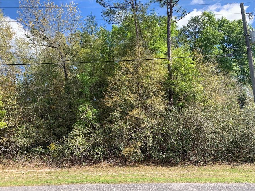 Beautiful lot to build your dream home in the GATED community of Lakeview Woods/Trails East in beautiful Silver Springs. This private and peaceful community has access to LAKE WALDENA.  This lot is around the corner from the lake and playground area with picnic tables/pavilion and a fishing pier. Enjoy kayaking and canoeing.  Site built homes only ~ choose your builder. Paved roads.  Central water and sewer.  Lakeview Woods/Trails East is located on State Road 40 East ~ 60 miles from the East Coast (Atlantic Ocean) and 60 miles from the West Coast (Gulf of Mexico).  It's a few minutes from the conveniences of Ocala.