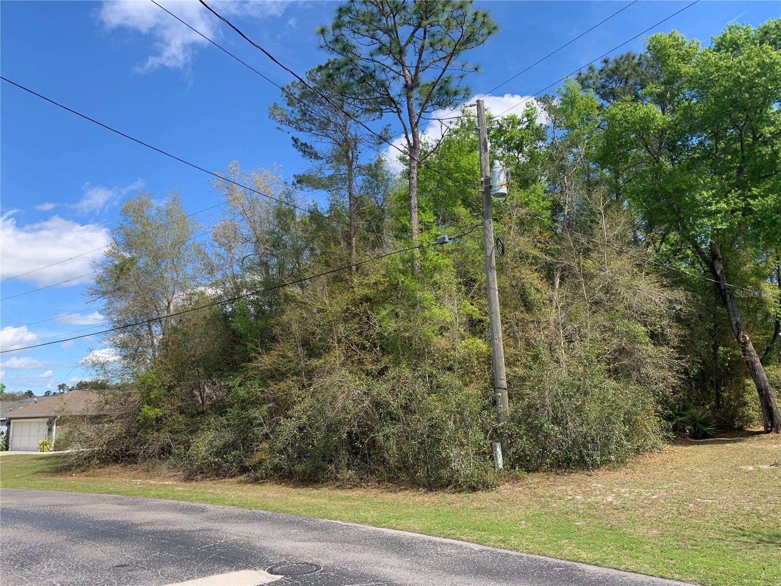 TRAILS EAST/LAKEVIEW WOODS - Land