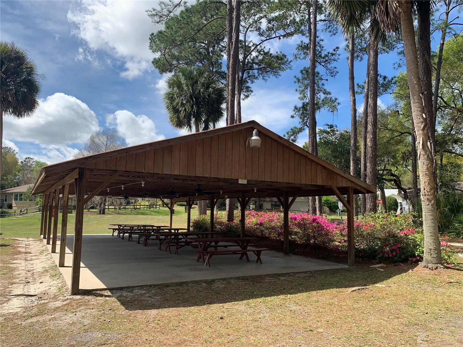 TRAILS EAST/LAKEVIEW WOODS - Land