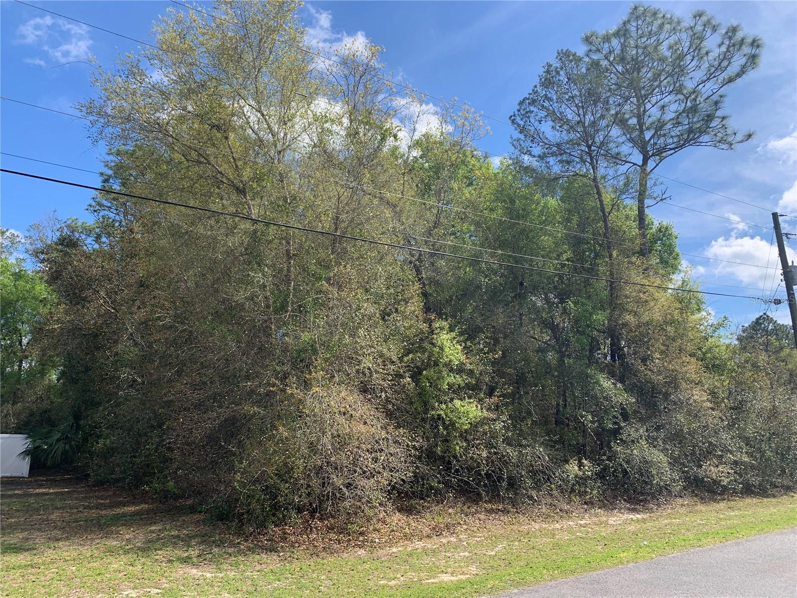 TRAILS EAST/LAKEVIEW WOODS - Land