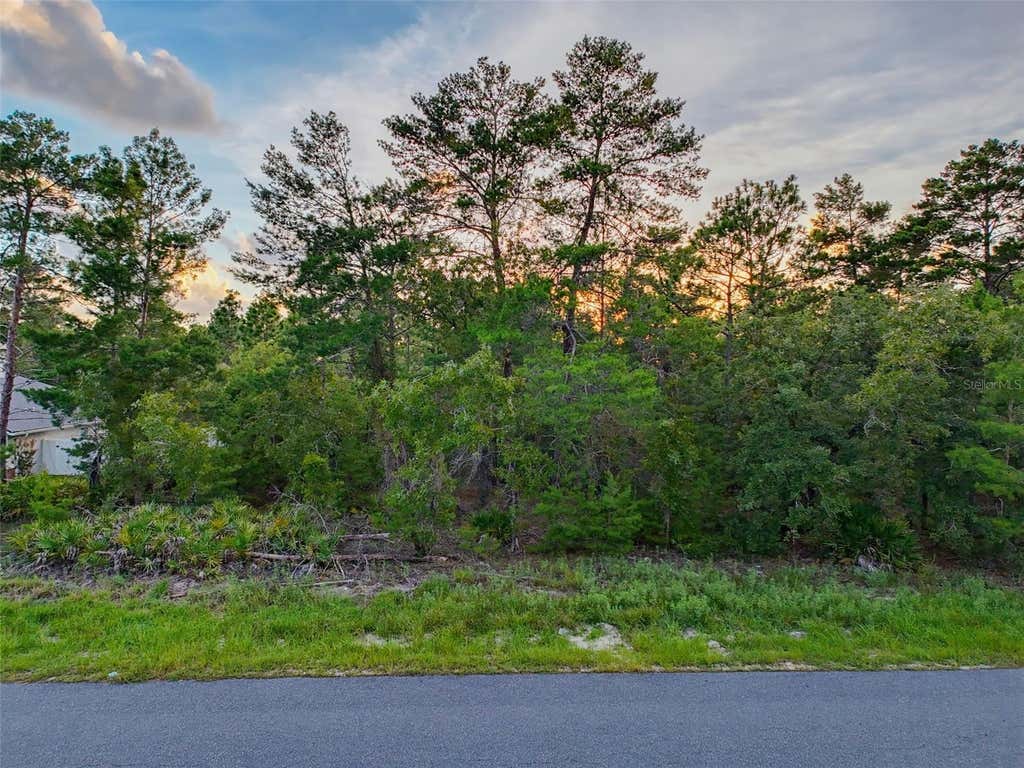 Photo of 18367 Maberly Road, Weeki Wachee, FL 34614 (MLS # W7888404)