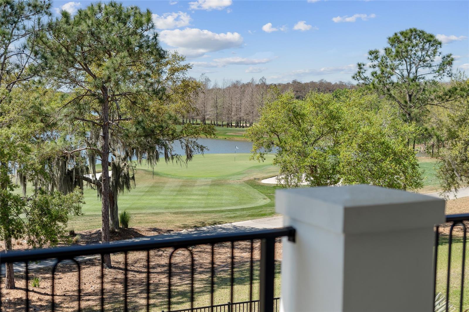 RITZ-CARLTON RESIDENCES, ORLANDO - Residential