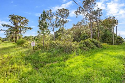 Photo of 19450 Ralston Street, Orlando, FL 32833 (MLS # O6352730) Photo of 19450 Ralston Street, Orlando, FL 32833 (MLS # O6352730)