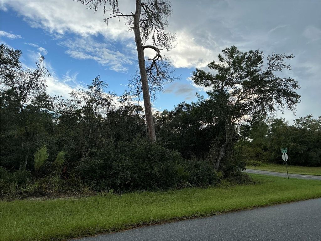 Photo of 0 SW 178th Streets, Ocala, FL 34473 (MLS # OM713130)