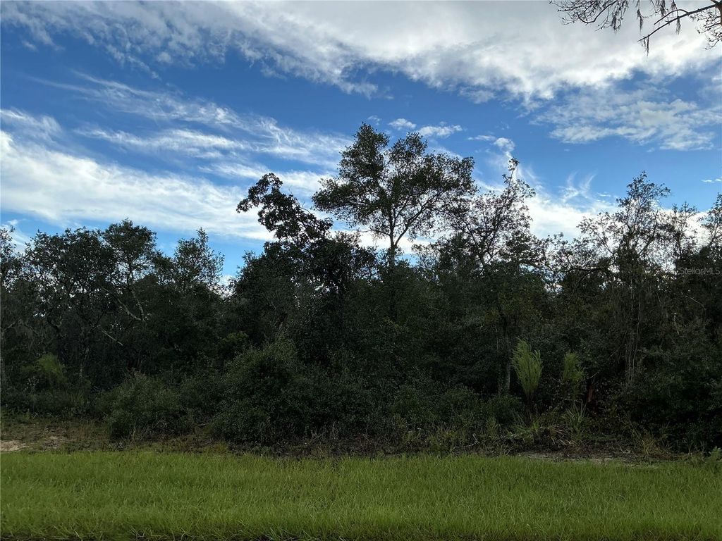 Photo of 0 SW 178th Streets, Ocala, FL 34473 (MLS # OM713130)