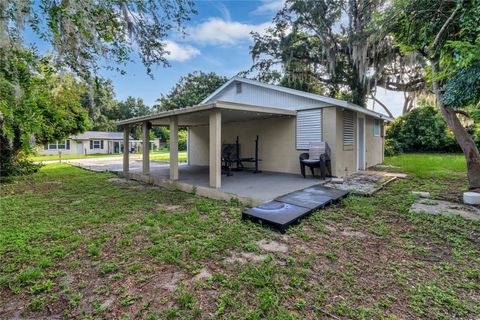 A home in MOUNT DORA