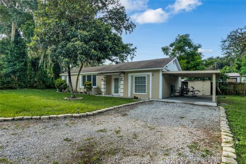 A home in MOUNT DORA