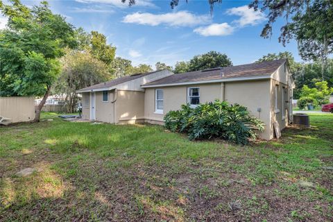 A home in MOUNT DORA